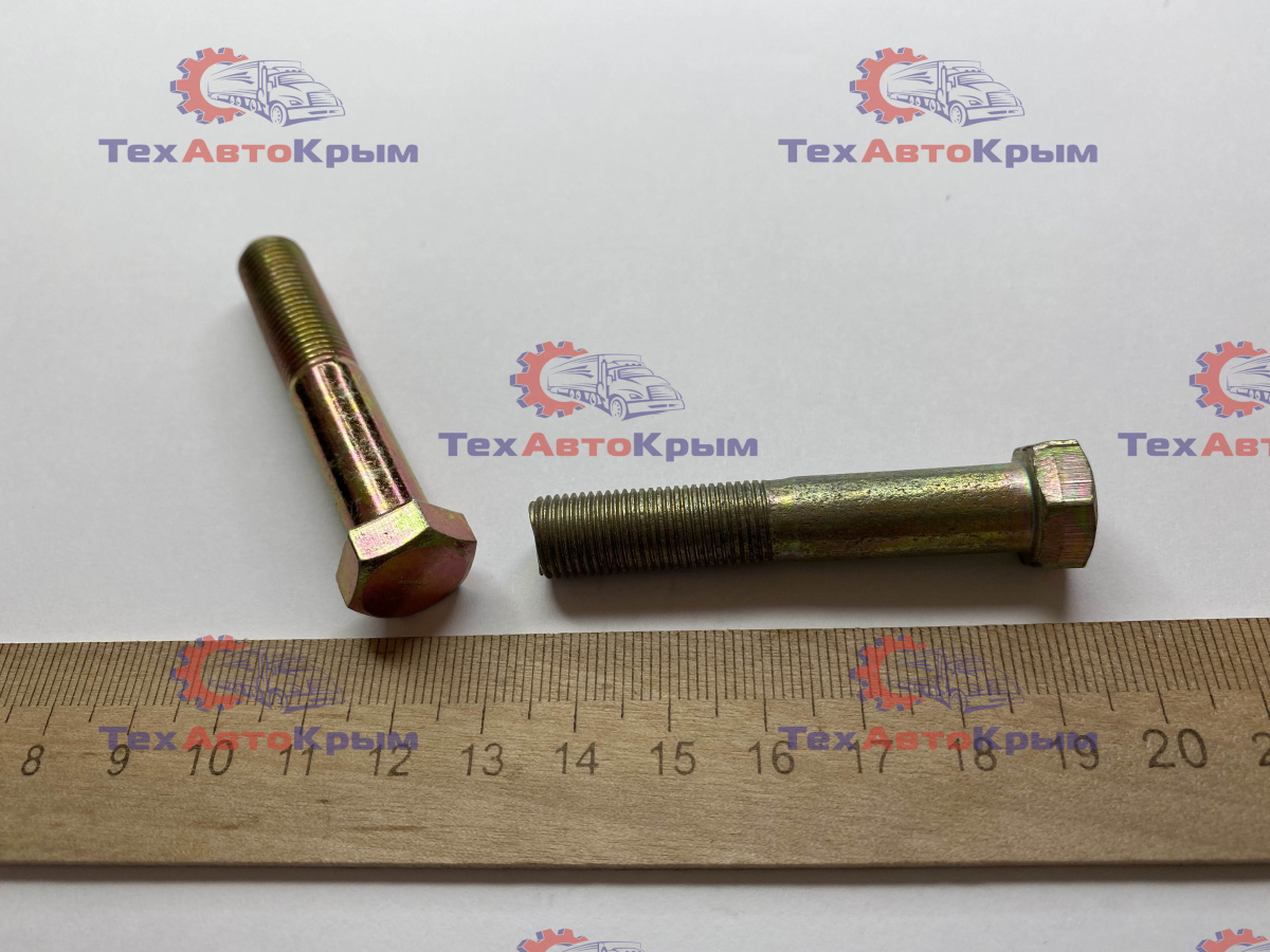Болт крепления оси нижних рычагов ГАЗ-2410 (М10х1х55)